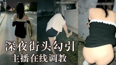 主播深夜调教的!海报剧照