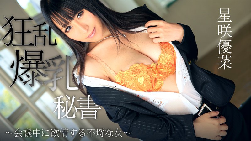 Heyzo-0746  狂乱爆乳秘書～会議中に欲情する不埒な女～海报剧照